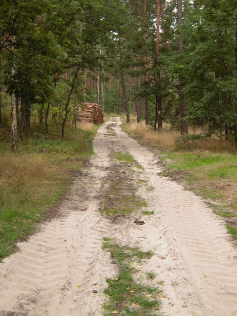 10 - Szlak Suliszowice - Ostrężnik.jpg