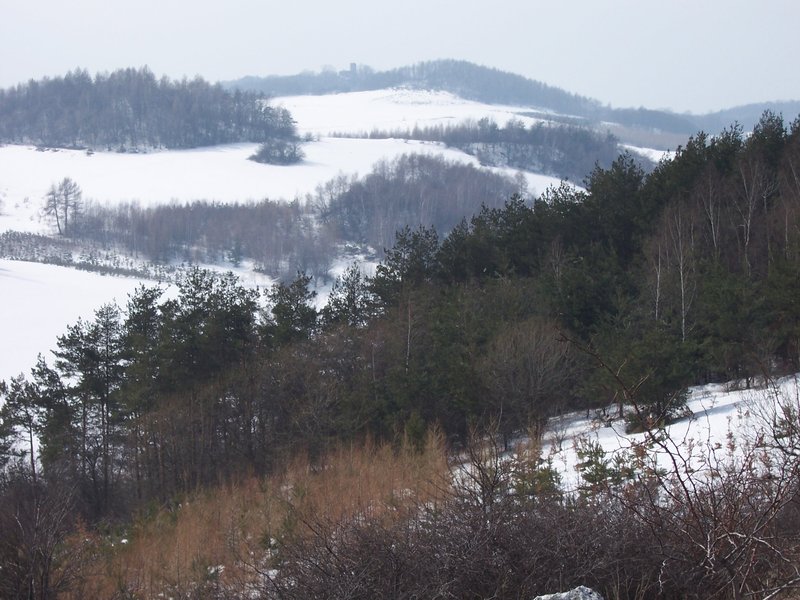 17.Grzebień-widok na Smoleń.jpg