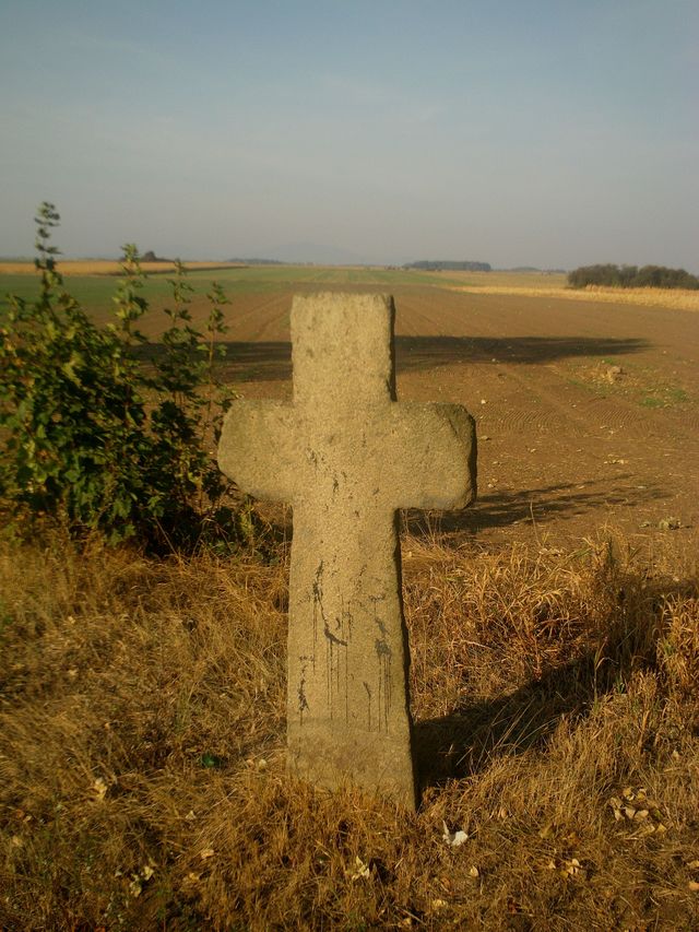 1.Krzyż pokutny a za nim Ślęza.jpg