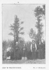 Cisy w Przybynowie, góra, 1910 rok.png