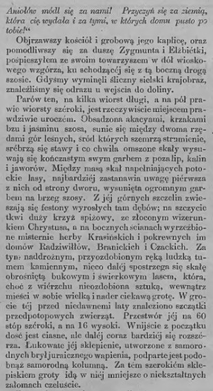 Edward Chłopicki, Częstochowskie strony, Janów i Złoty Potok, T.I., 348, 1874 r., cz.5.jpg