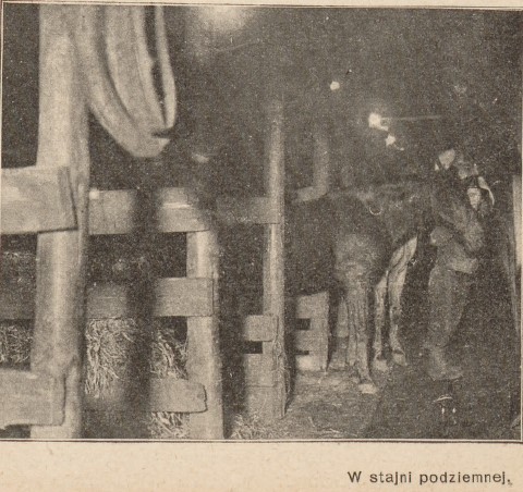 W stajni podziemnej, Świat, 42, 1907 r..jpg