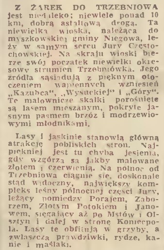 strumień Trzebniówka, Tr. Rob. 270, 1973 r..jpg