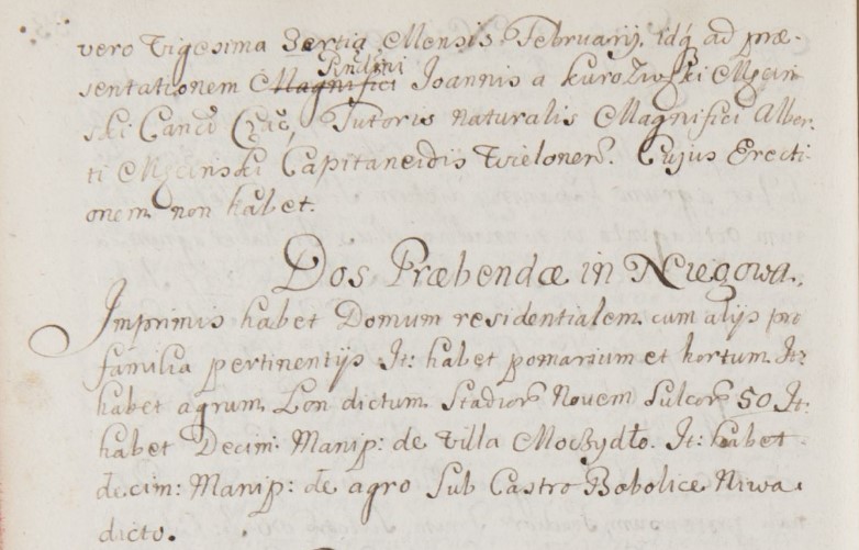 wizytacja parafii dekanatu lelowskiego, 1711 r. cz.7.jpg