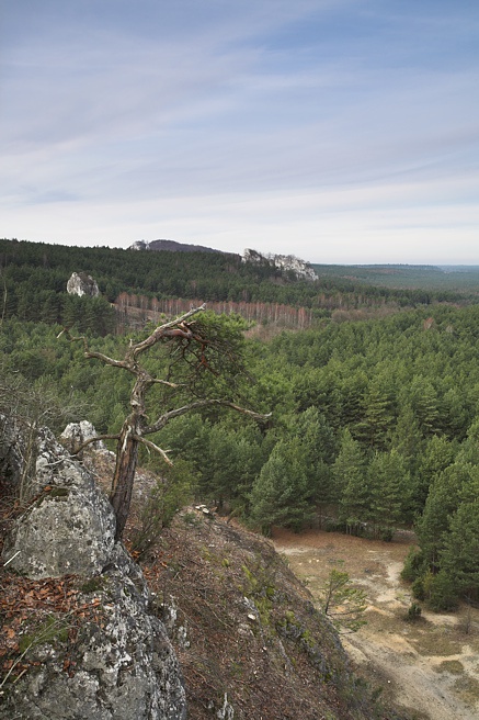 Góra Zborów