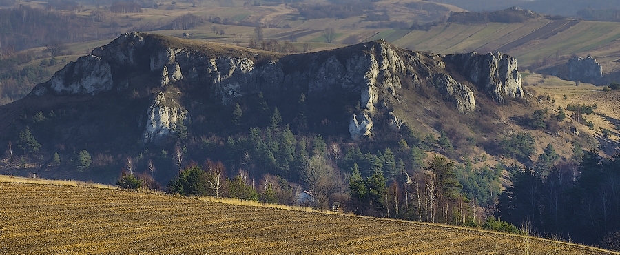 Dolinki, szerzej